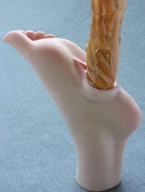 Illustration for article titled Silicone Pussy Foot, Almost Real Except for One Thing